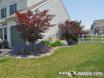 fully landscaped front to back