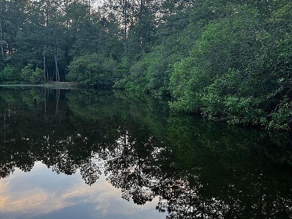 5th image of 15528 Broadus Rd