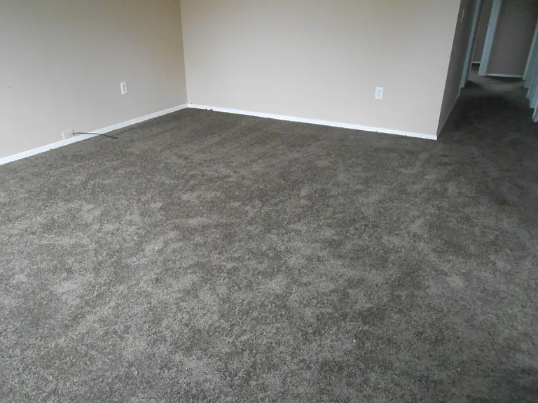 4434 Dunloe Ct — Photo 7