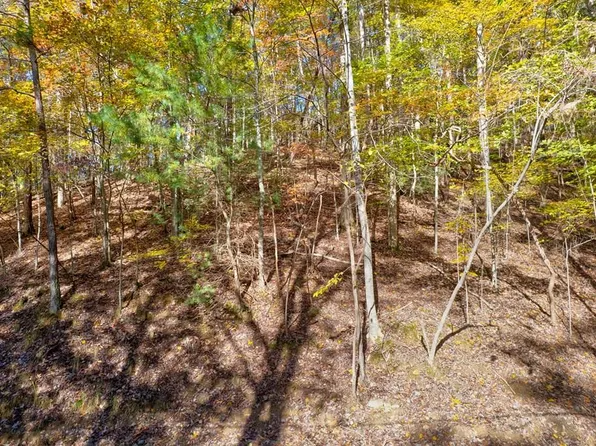 Parker Way, Ellijay, GA 30540