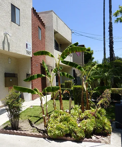 323 San Pascual Ave — Photo 1