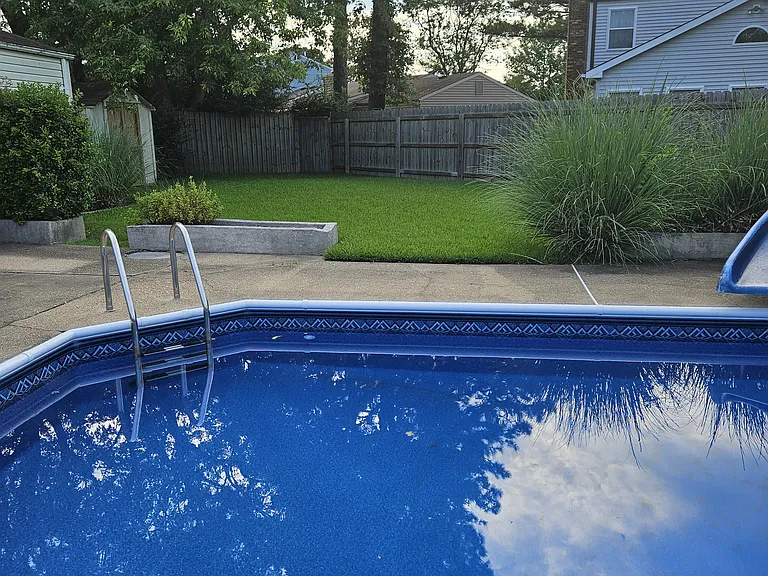 Back yard & pool