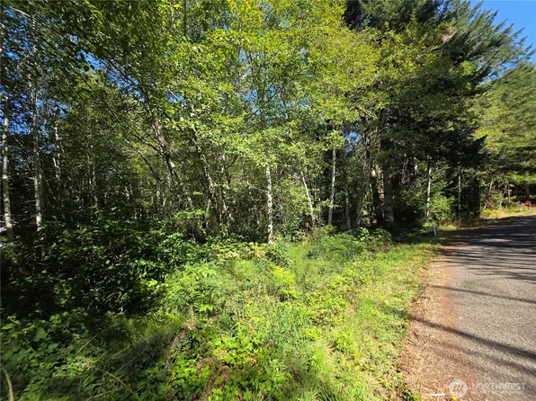 0 Cedar Place, Elma, WA 98541