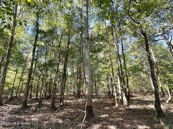 6 Evans Rd, Carthage, MS 39051