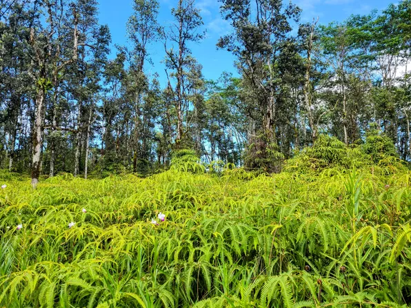 Kehau Rd, Pahoa, HI 96778