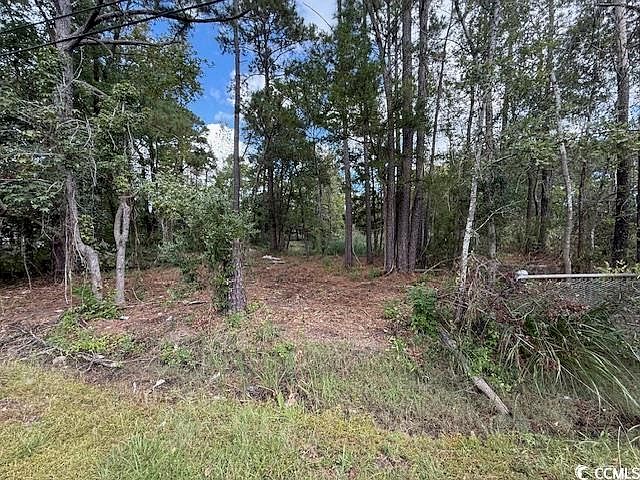 2nd image of TBD Martin Ln.
