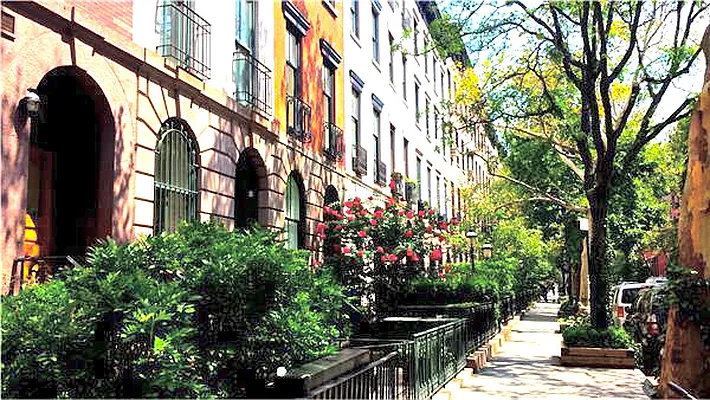 Rented by Maz Group NY | media 22