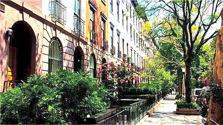 Rented by Maz Group NY