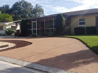 1113 Mary Jane Ln, Dunedin, FL 34698