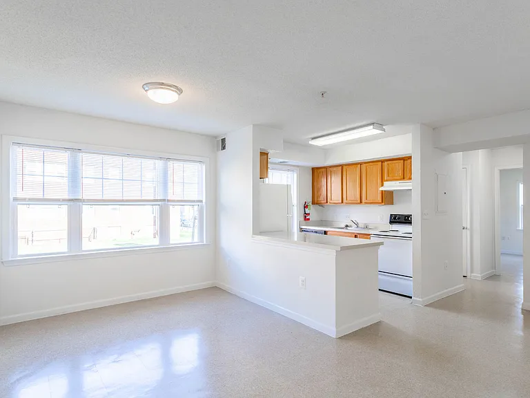 Kitchen and Living Room Area Flow