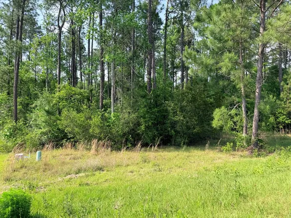Nhn Moss Cir, Carriere, MS 39426
