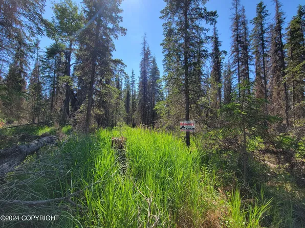 L5-B9 Moose Run Ave E, Soldotna, AK 99669