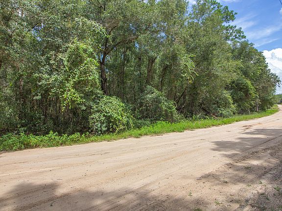 5th image of 00 LIVE OAK Drive
