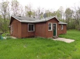 2461 W Scott Dr, Irons, MI 49644