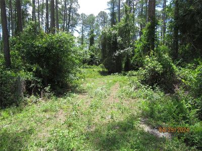 4643 Walnut Ave #2, Bunnell, FL, 32110