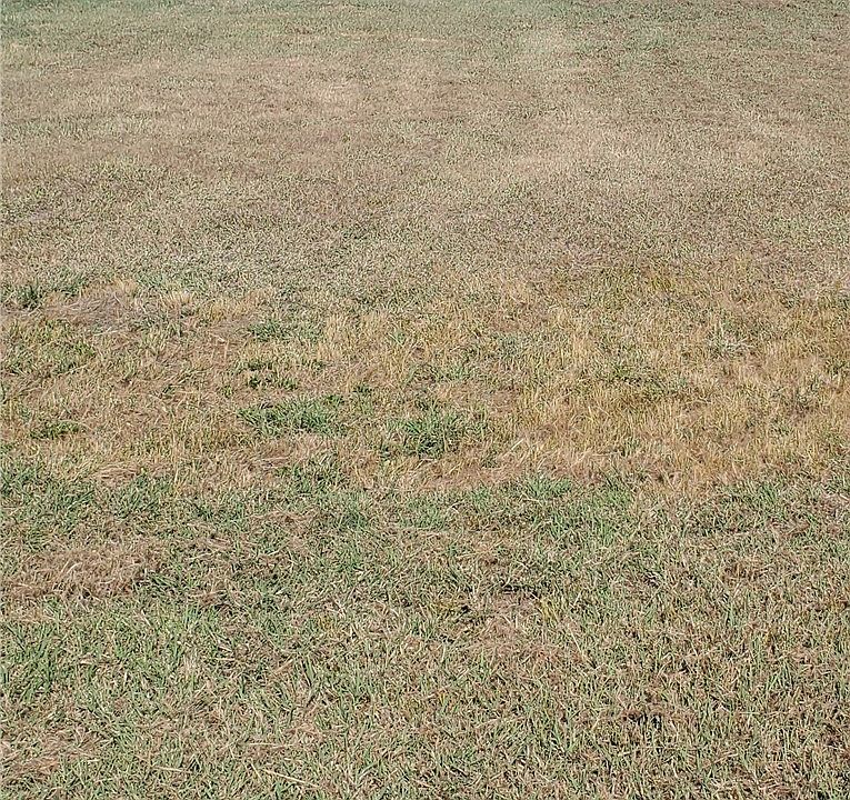 1st image of 3 Sandhill Ln