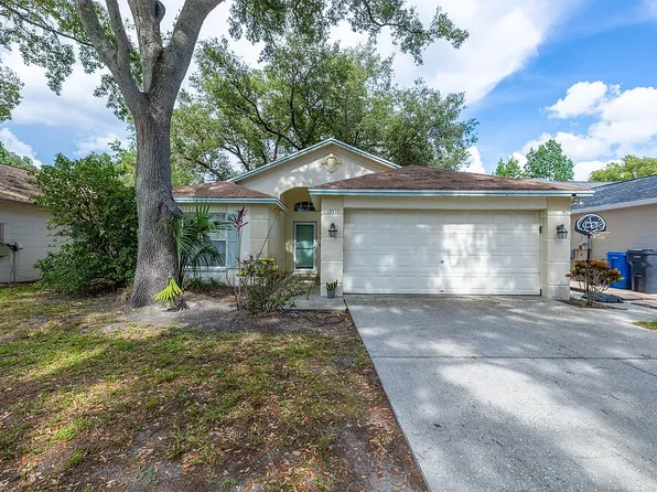 13538 Bellingham Dr, Tampa, FL 33625