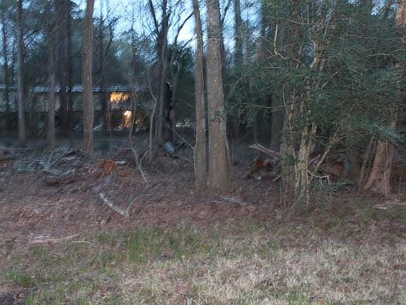 3rd image of 13707 Grand Prairie Dr