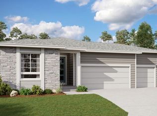 4664 Rapport Dr, Castle Rock, CO 80104