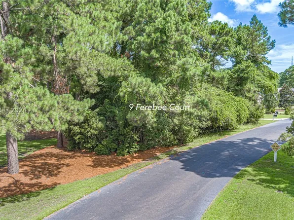 9 Ferebee Ct, Bluffton, SC 29910