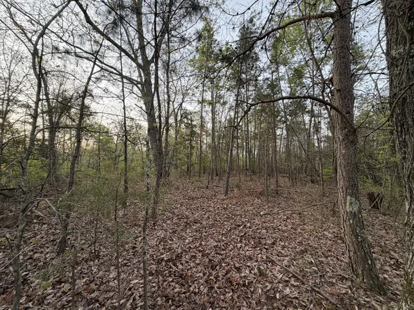 0 Salem Rd, Centerville, TN 37033