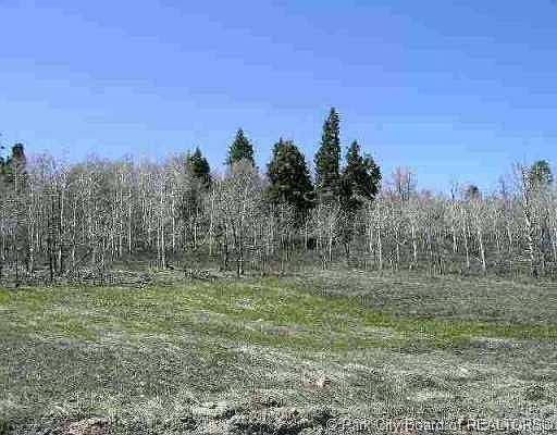 1st image of 2234 S Porcupine Cir #Fm-d-178