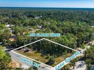 0 Highway 51 NE, Steinhatchee, FL 32359