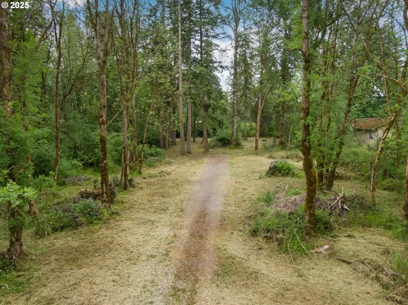 NE 199th St, Ridgefield, WA 98642