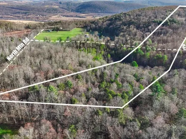 Cash Creek Rd, Ulster, PA 18850