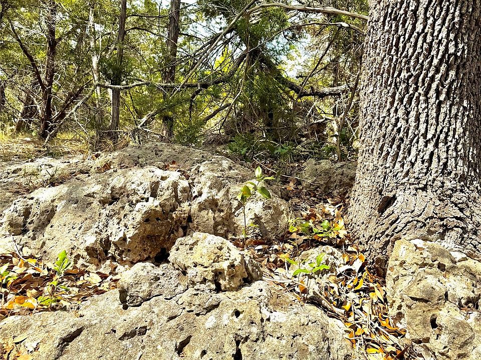 1st image of 2519 George Pass