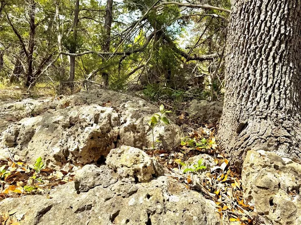 2519 George Pass, Canyon Lake, TX 78133