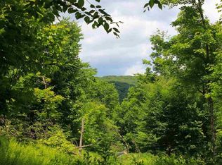 1142 Barkaboom Rd, Andes, NY 13731