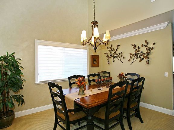 Hunter Douglas blinds