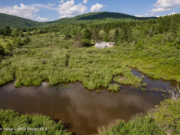 345 Burroughs Memorial Road Ext., Roxbury, NY 12474