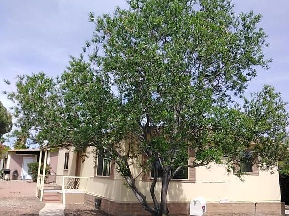 Natural, summer shade.