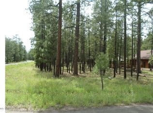 2582 Thunder Cloud Ln, Pinetop, AZ 85935