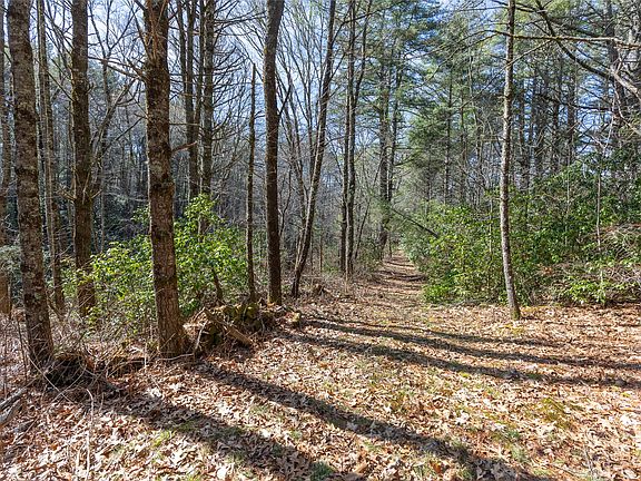 4th image of TBD Flat Mountain Road