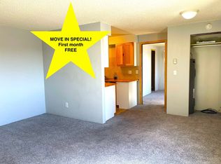 MP143 - 123 E Baldwin Ave., Spokane, WA 99207