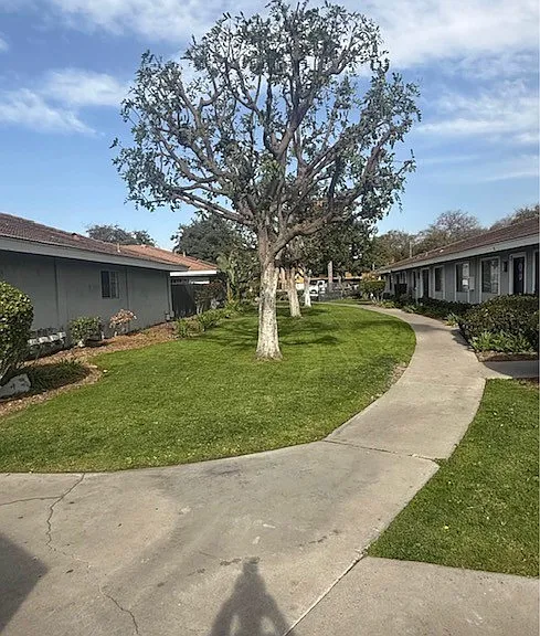 Villa Palms Apartments — Photo 15