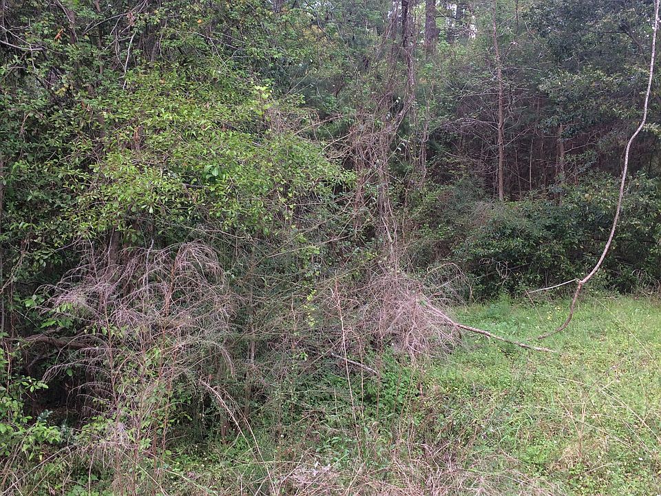 2nd image of 305 Cherokee Cir