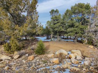 Pine Dr LOT 10, Ridgway, CO 81432