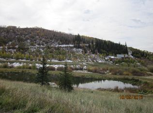 2480 Elkins Ln, Steamboat Springs, CO 80487