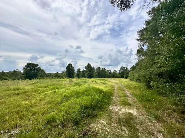 40/ACRE S Luther Davis Rd, Lucedale, MS 39452