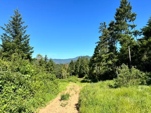 780 Tunnel Rd, Glendale, OR 97442