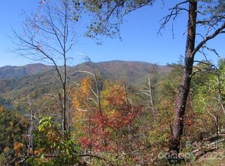 14 Blue Vista Rd #14, Canton, NC 28716