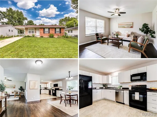 425 Lemondale Ln, Florissant, MO 63031