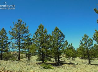 12451 Us Highway 24, Hartsel, CO 80449