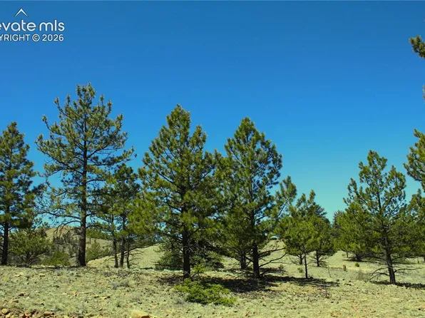 12451 Us Highway 24, Hartsel, CO 80449