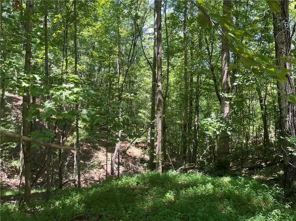 0 S Twin Oaks Dr #11, Ellijay, GA 30540