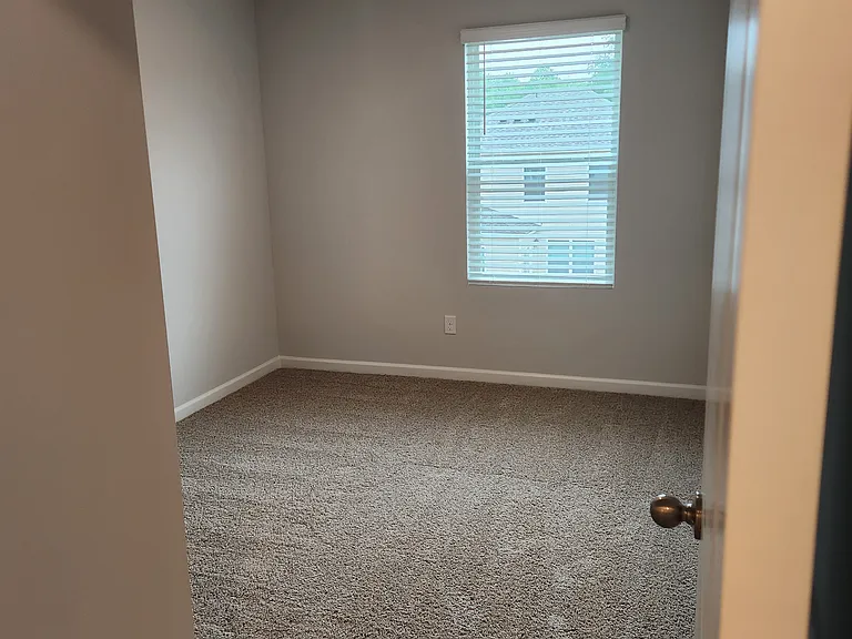 261 Dale Mires Ln — Photo 10